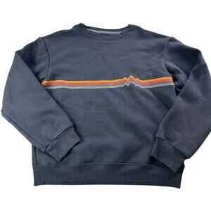 Patagonia Sweatshirt Earth Tone Stripe Design
